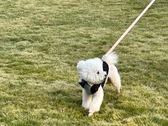 -上海神旺大酒店