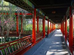 -南汇桃花村