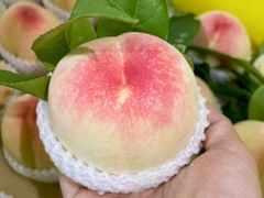 -老袁家蜜桃农场·阳山水蜜桃