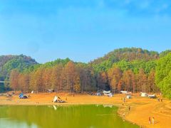 -青龙山国家森林公园