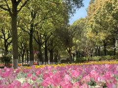 -上海鲜花港