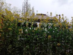 -黄山老妈·土菜(碧桂园店)