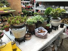 -秦美花卉(天朗·莱茵小城2期店)