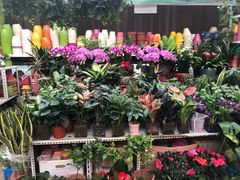 -秦美花卉(天朗·莱茵小城2期店)