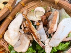 -滇野云南野生菌餐厅(陕西南路店)