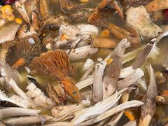 -佳缘野生菌食府