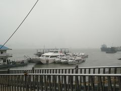 -武汉关码头(轮渡站)