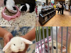 -天河城购物中心