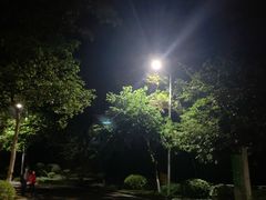 -火炉山森林公园