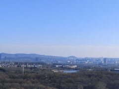 -灵谷景区