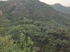 -北京鹫峰国家森林公园