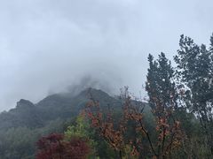 -太行锡崖沟旅游度假区