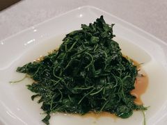 -新南华大酒店(广中店)