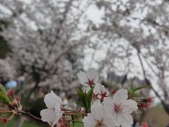 -堤角公园