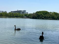 -东华大学(松江校区)