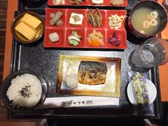 -錦 平野