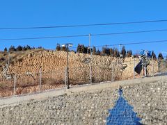 -采薇庄园四季滑雪场