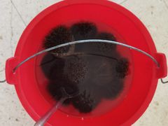 -蓝湾碧波·老字号·疍家非遗海上餐厅