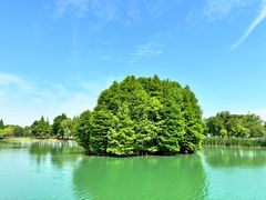 -尚湖风景区