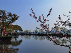 -无锡蠡湖国家湿地公园-蠡园