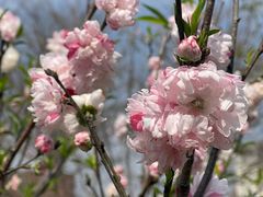 -福州大学(旗山校区)