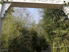 -竹子庵公园