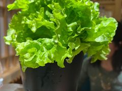 -九田家黑牛烤肉料理(荣成九龙城店)