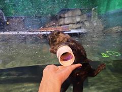 -重庆欢乐海底世界