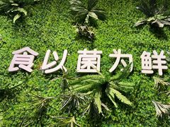 -菌乡缘·野生菌蒸汽鱼火锅(江边夜市店)