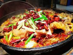 老板恋上鱼-老板恋上鱼(高新万达店)
