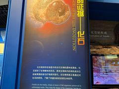 -国家自然博物馆