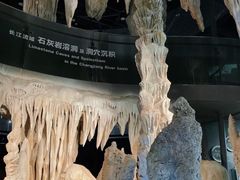 -武汉园博园(武汉自然博物馆)