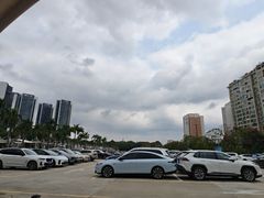 -深圳野生动物园