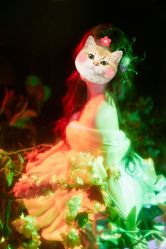 -WAVE SODA摄影工作室