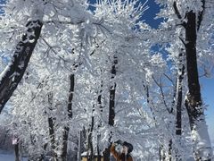 -中旅松花湖滑雪场