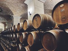 -北京张裕爱斐堡酒庄