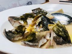 -诺莱仕游艇会
