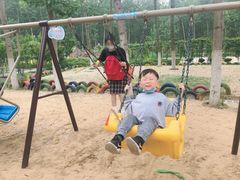 -合肥滨湖国家森林公园