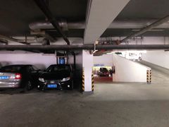 -上海海洋水族馆-停车场