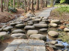 -上海共青森林公园