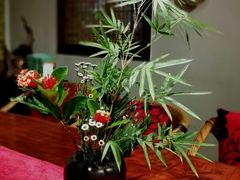 -白鹭原茶艺馆