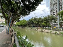 -晓港公园