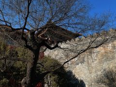 -东华门大街小区