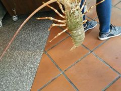 -BAI BUA RESTAURANT