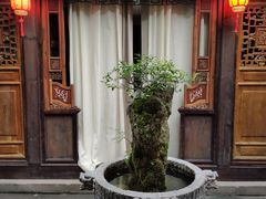 -鱼桥巷·美学川菜