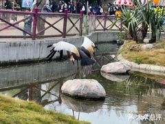 -灵玲国际马戏城