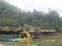 -西双版纳原始森林公园