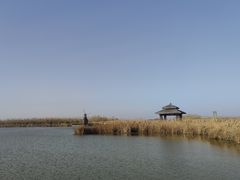 -宁波杭州湾国家湿地公园