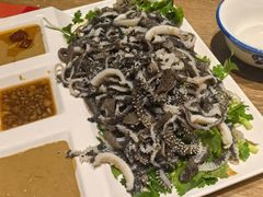 -直隶安家罩饼(复兴路店)