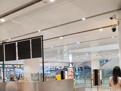 -麦当劳(北京大兴机场二层国内到达(安检外)店)